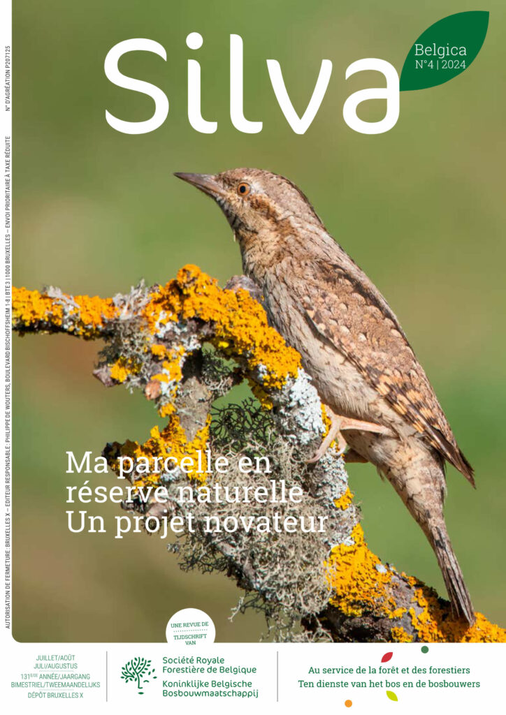 Silva Belgica 4 2024