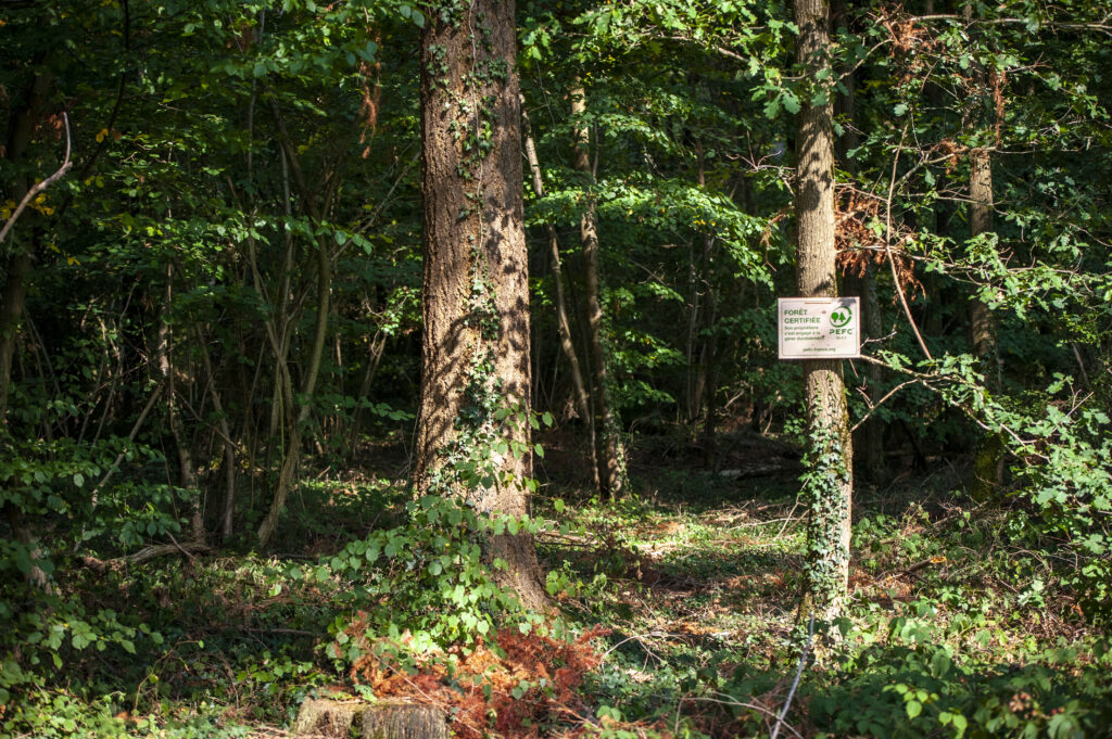 PEFC panneau forêt