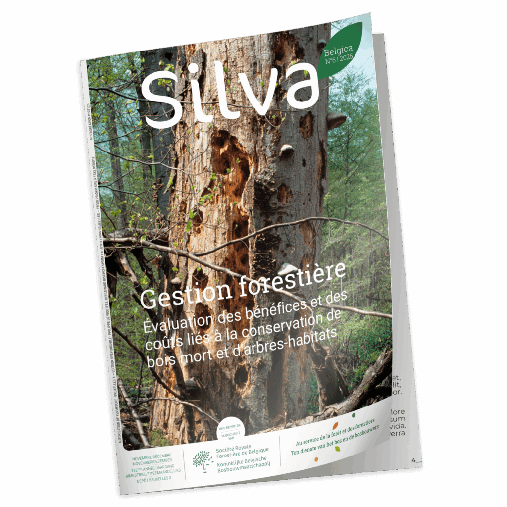 Silva Belgica