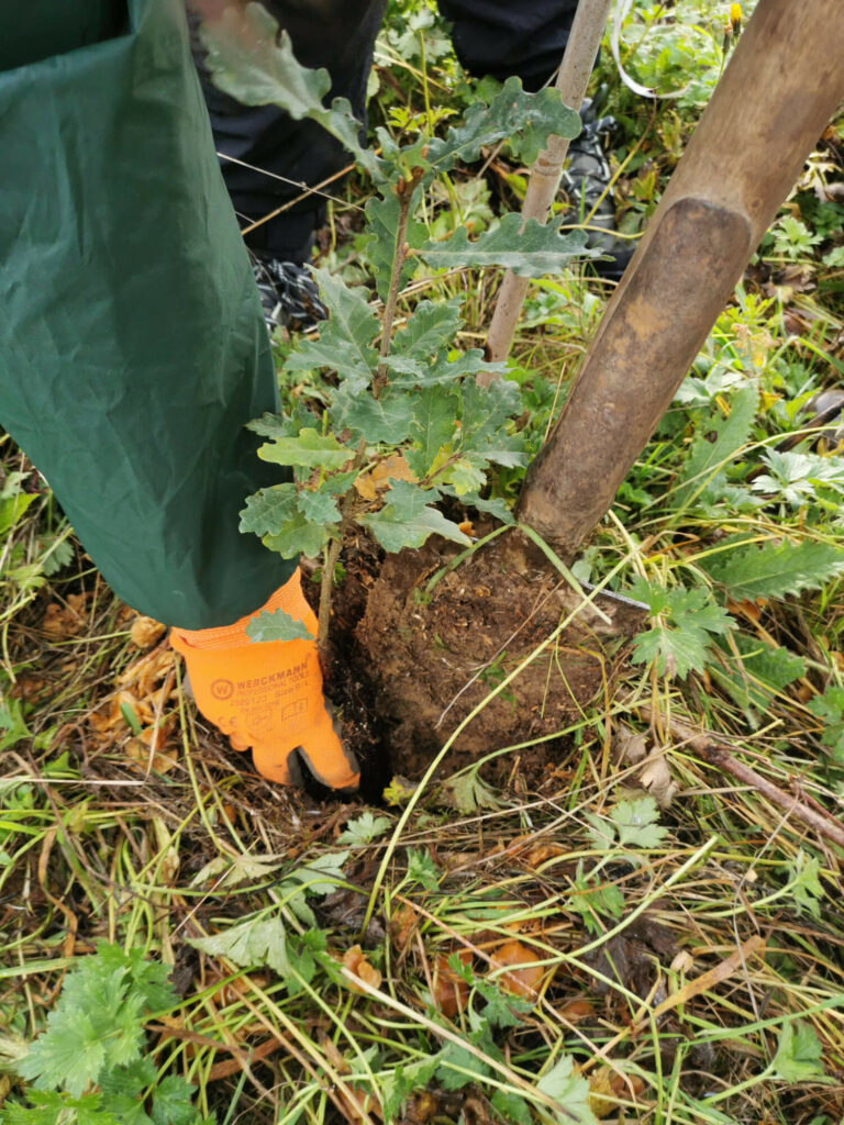 Aide plantation - gant orange qui plante