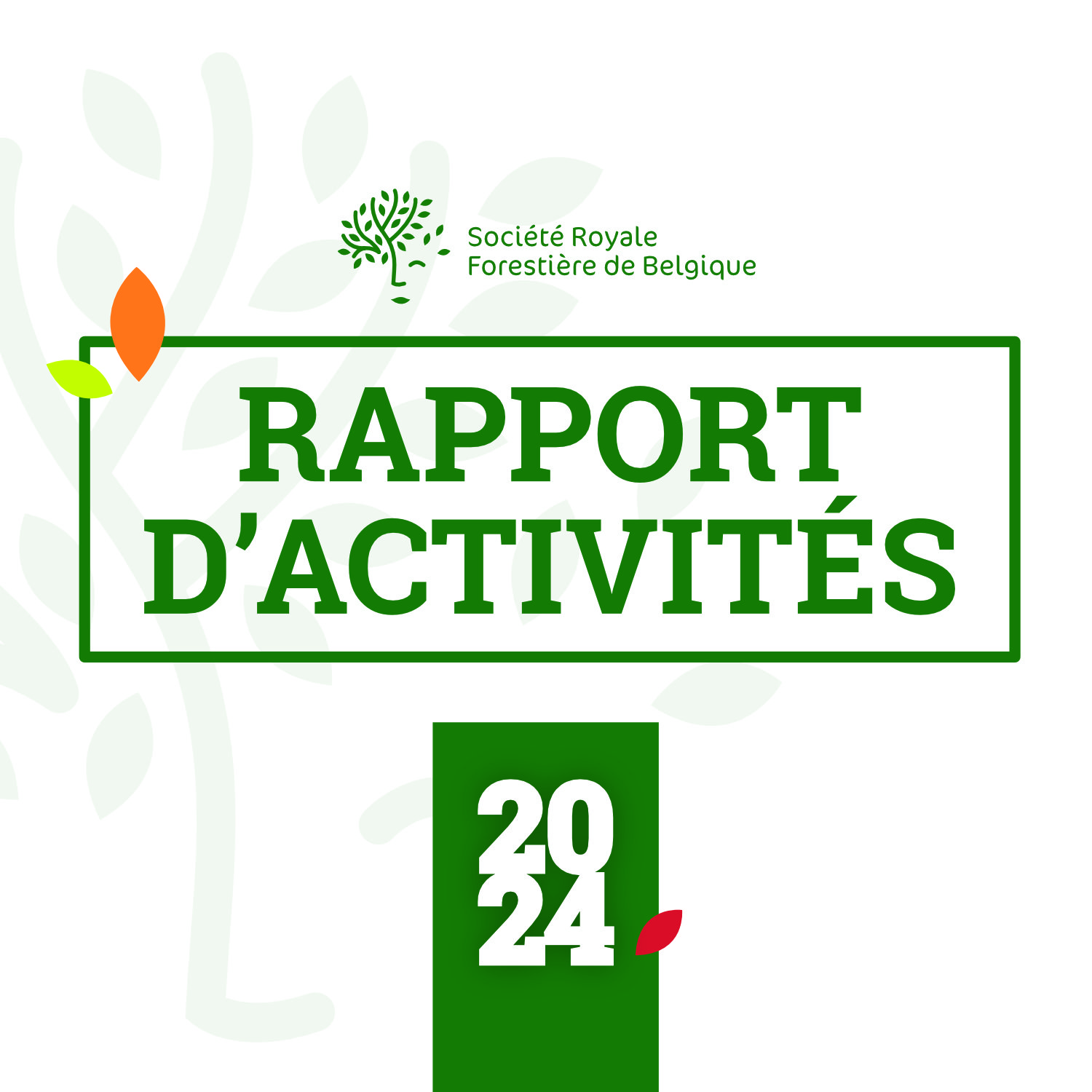 Rapport d'activités 2024