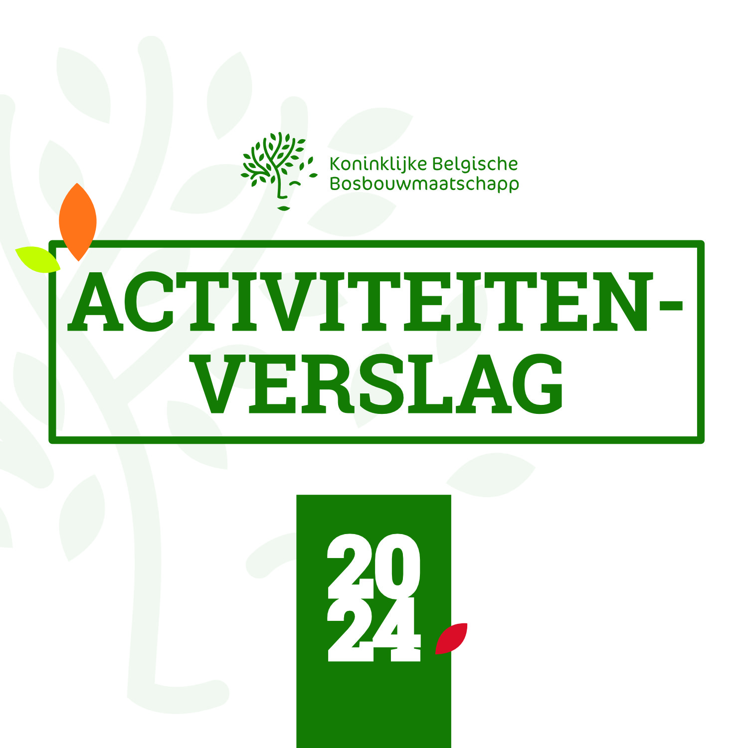 Rapport d'activités 2024