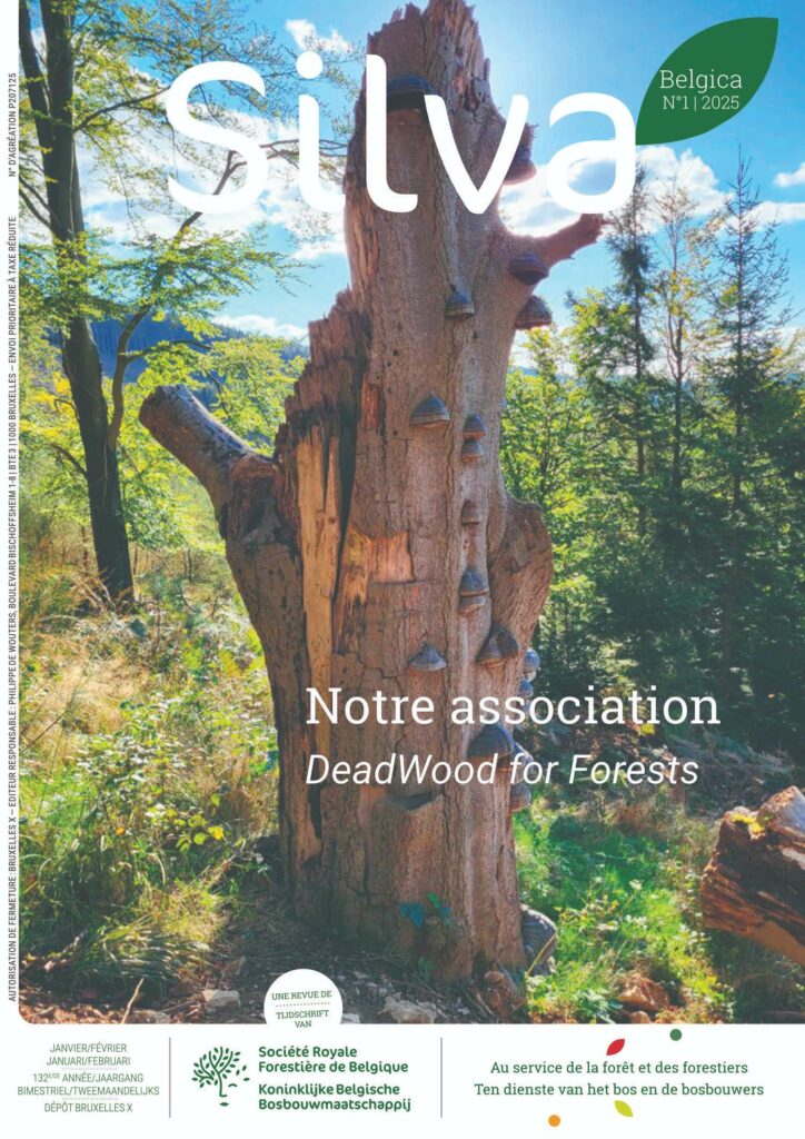 Silva Belgica 01/2025