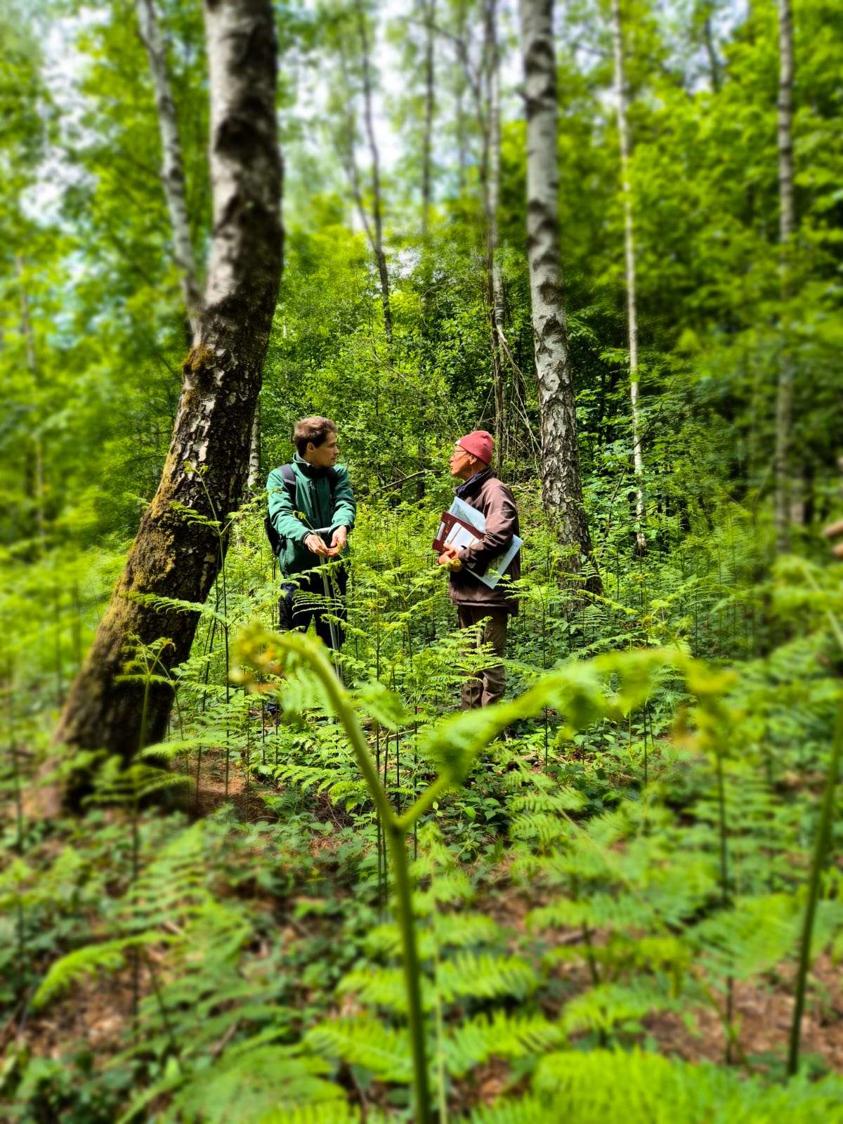 Formation personnalisée - Maxime Lambinet