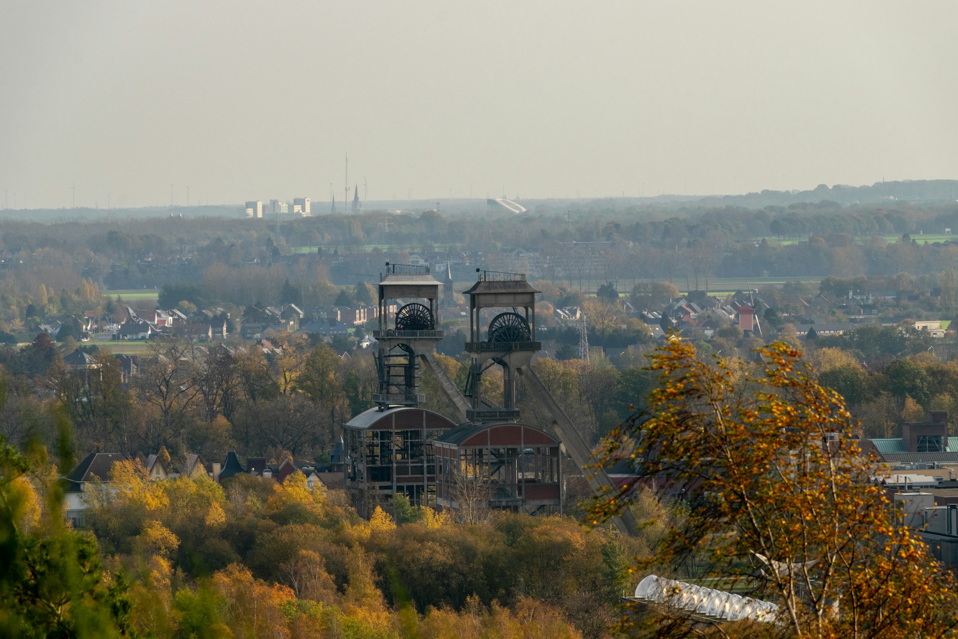 Histoire des forêts en Belgique