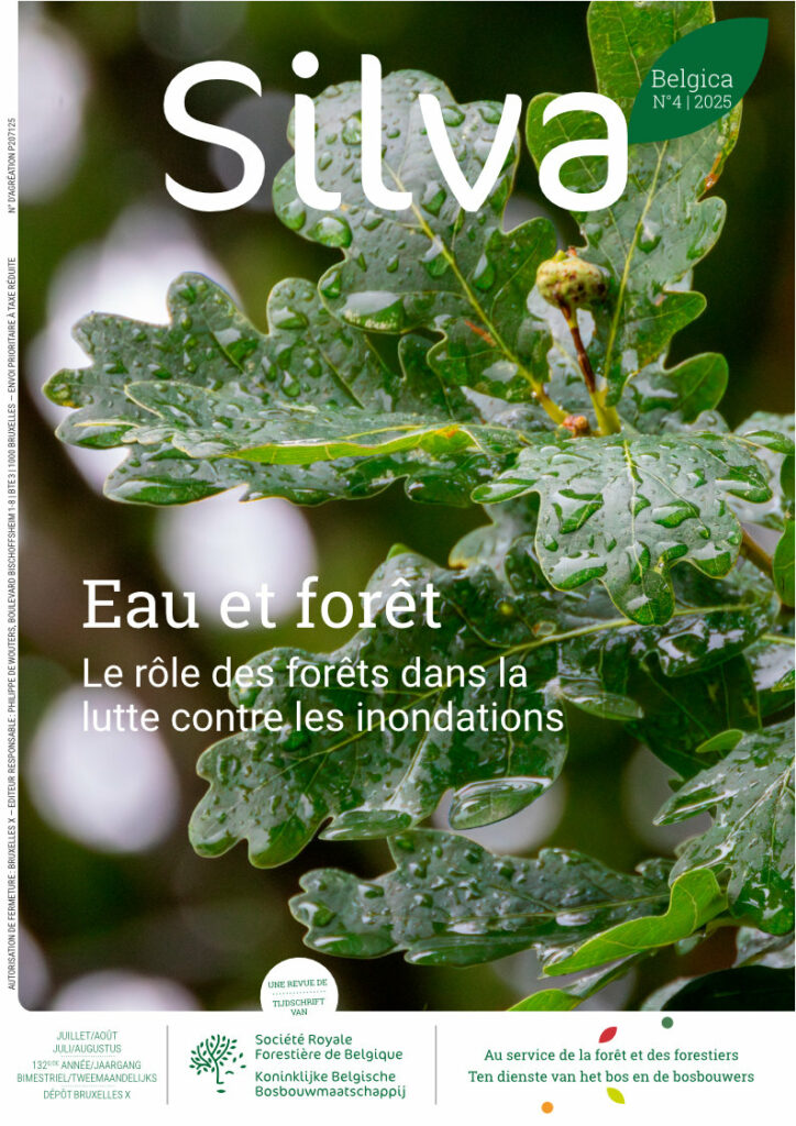 Silva Belgica 4/2025