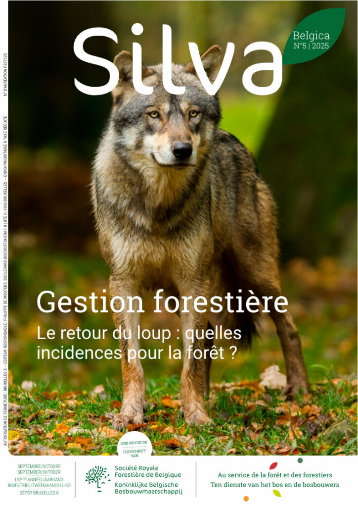 Silva Belgica 5/2025