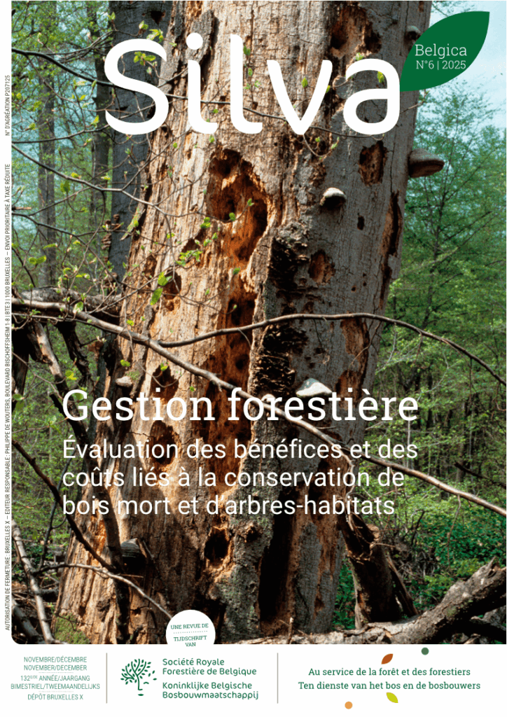 Silva Belgica 6/2025